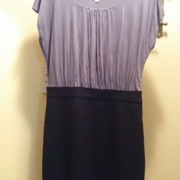 Dress  Ann Taylor Loft; Looks like 2 piece - Picture 2 of 2